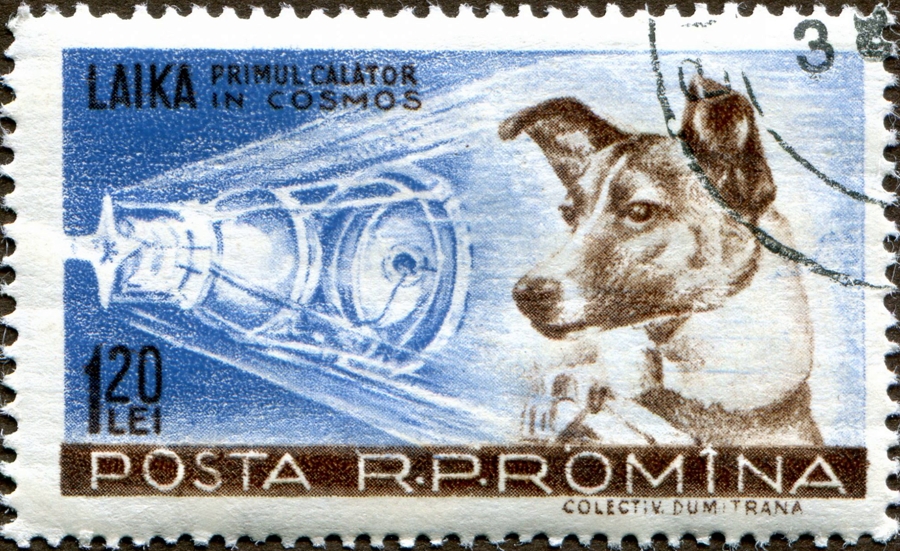 Румынская почтовая марка с изображением Лайки рядом с космическим кораблем «Спутник-2», 1957 год. Википедия